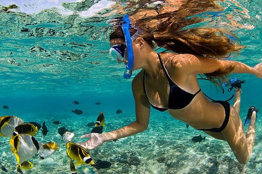 Full-Day Catalina Island Tour from Punta Cana